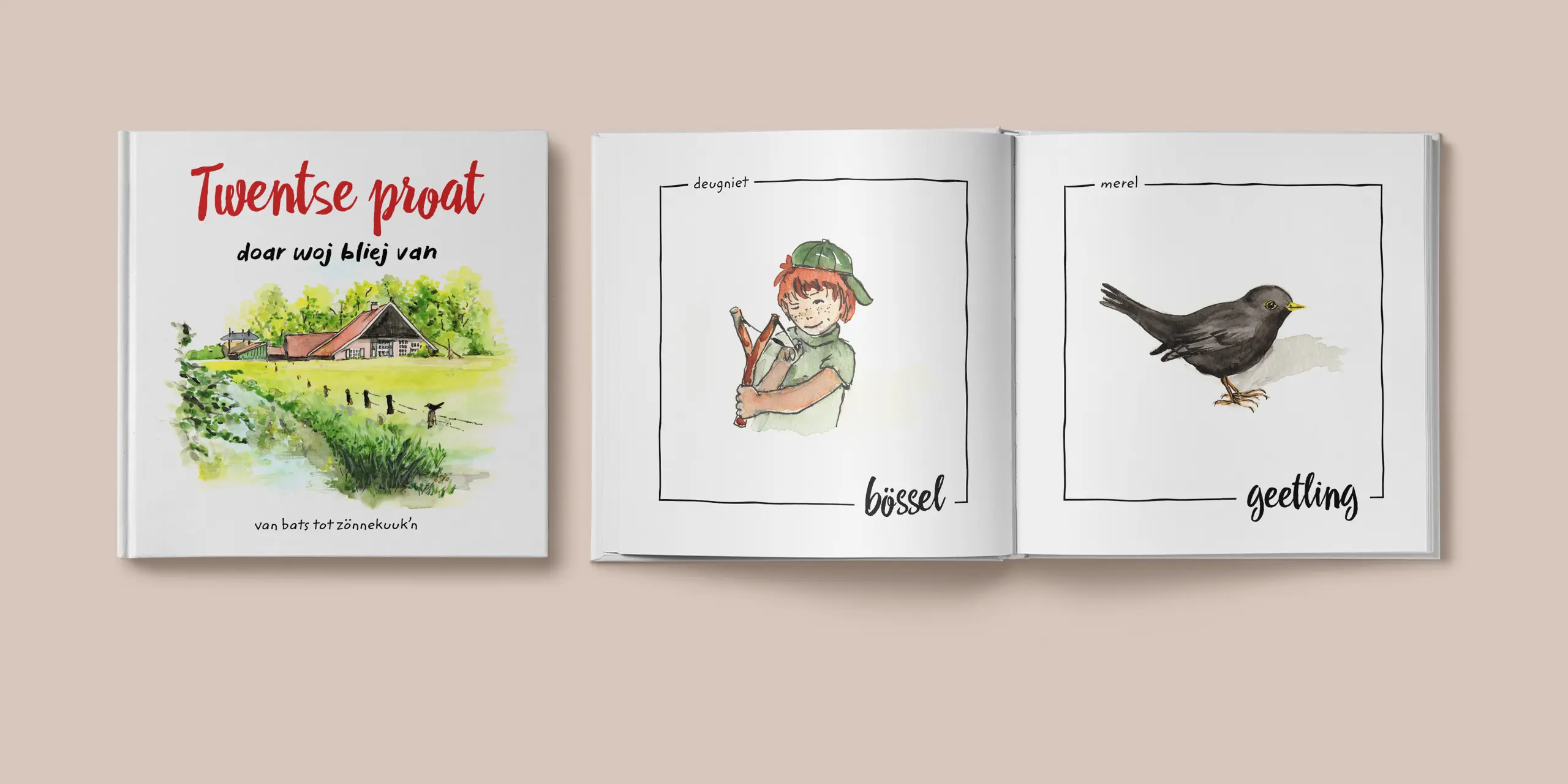 Twentse proat - twents woordenboek