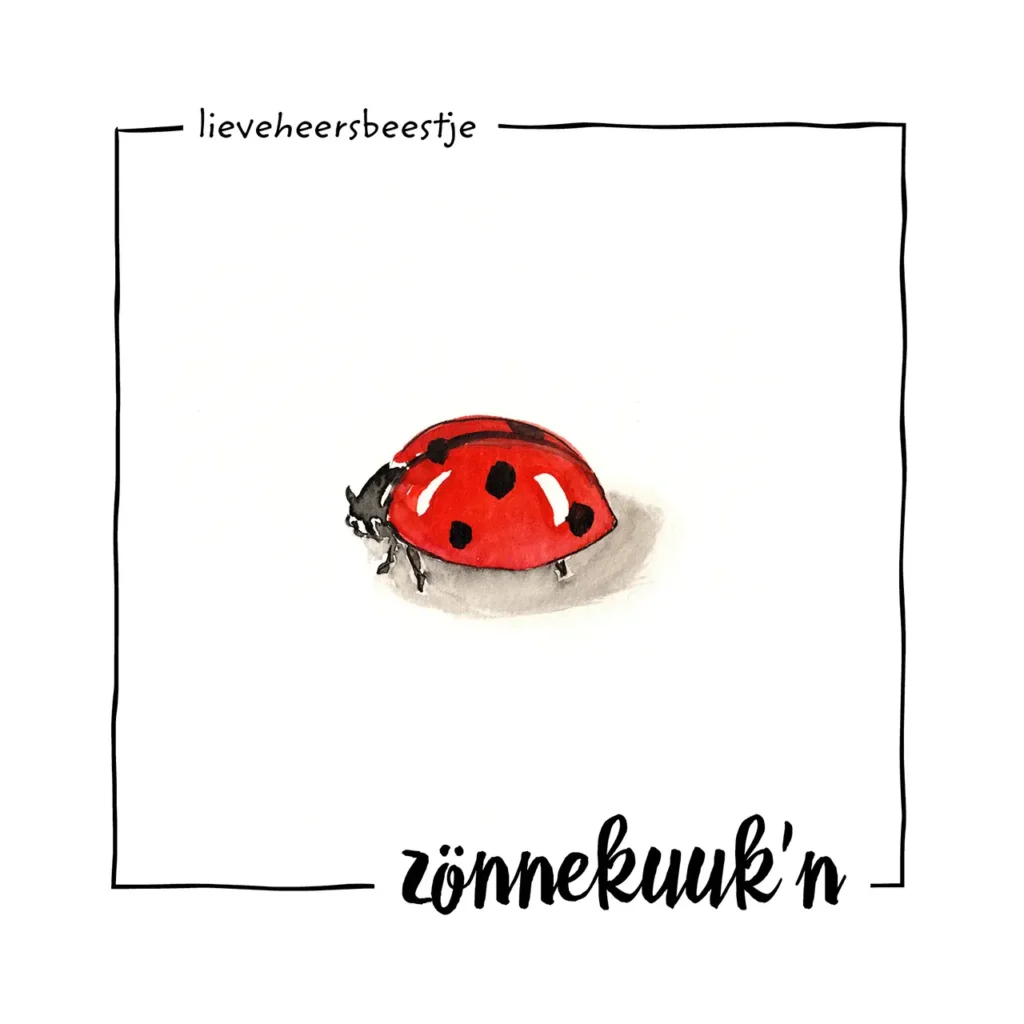 Twentse proat - zönnekeukske - lieveheersbeestje