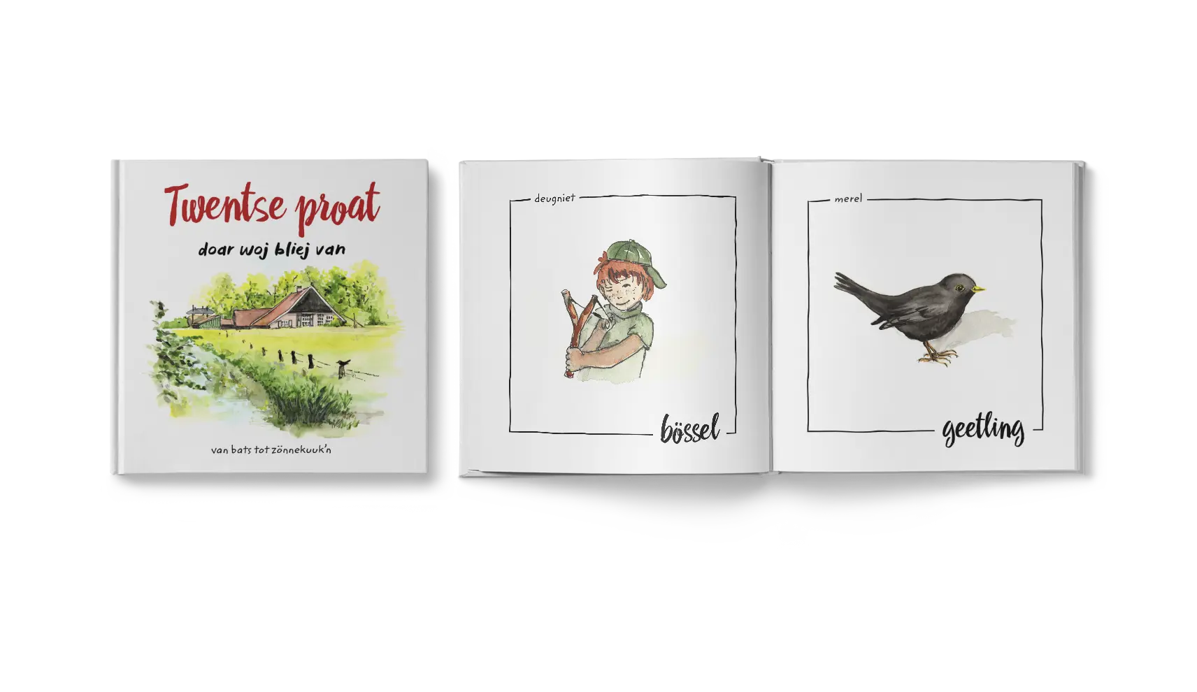 Twentse proat - als regionaal boek uitgebracht